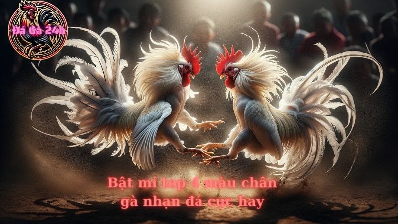 Bật mí top 4 màu chân gà nhạn đá cực hay