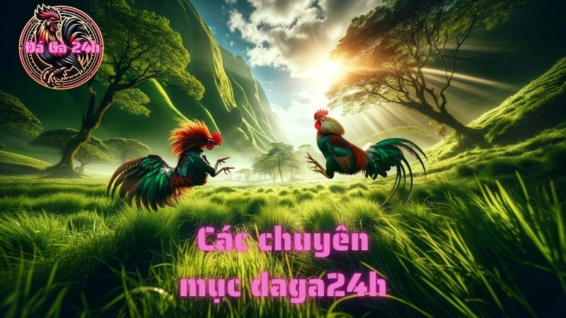 Các chuyên mục daga24h