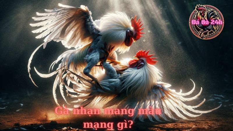 Gà nhạn mang màu mạng gì?