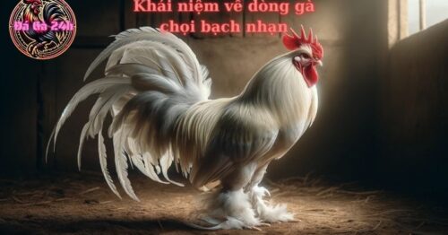 Gà nhạn thuộc màu mạng nào? Những điều cần biết về gà nhạn