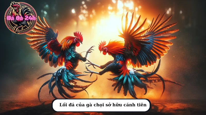 Lối đá của gà chọi sở hữu cánh tiên