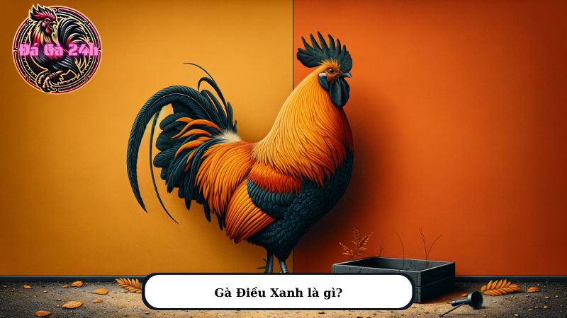 Gà Điều Xanh là gì?