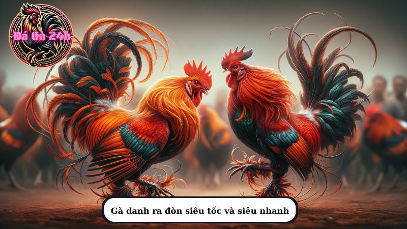 Gà danh ra đòn siêu tốc và siêu nhanh