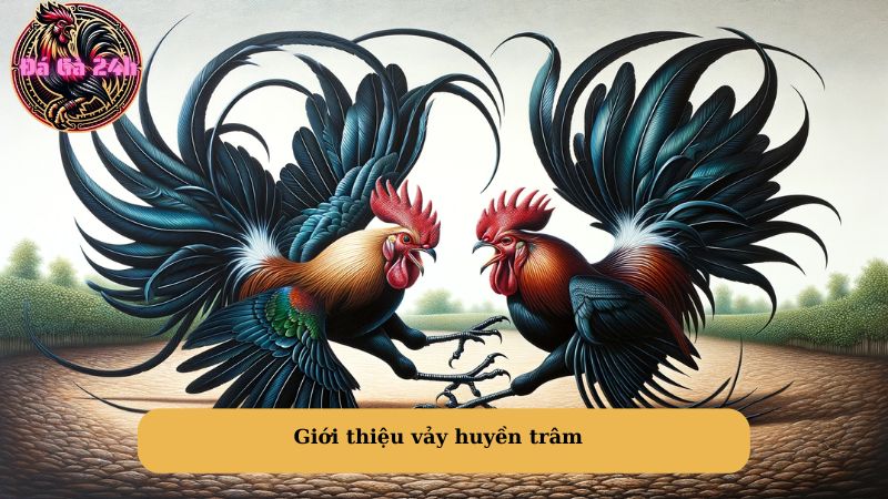 Giới thiệu vảy huyền trâm