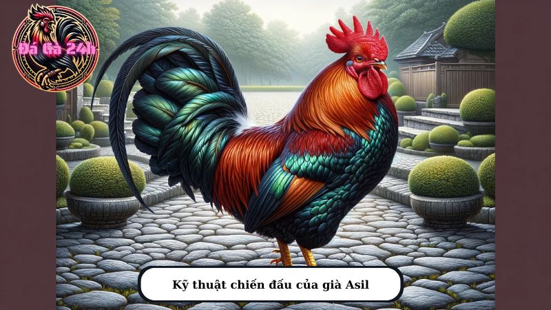 Kỹ thuật chiến đấu của già Asil