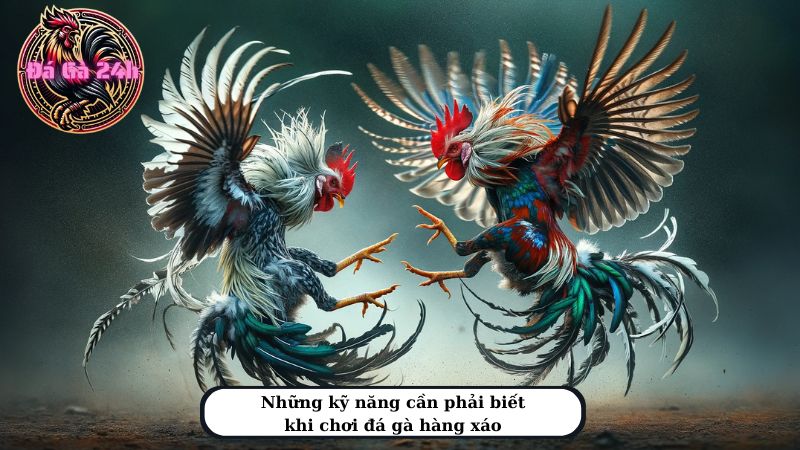 Những kỹ năng cần phải biết khi chơi đá gà hàng xáo