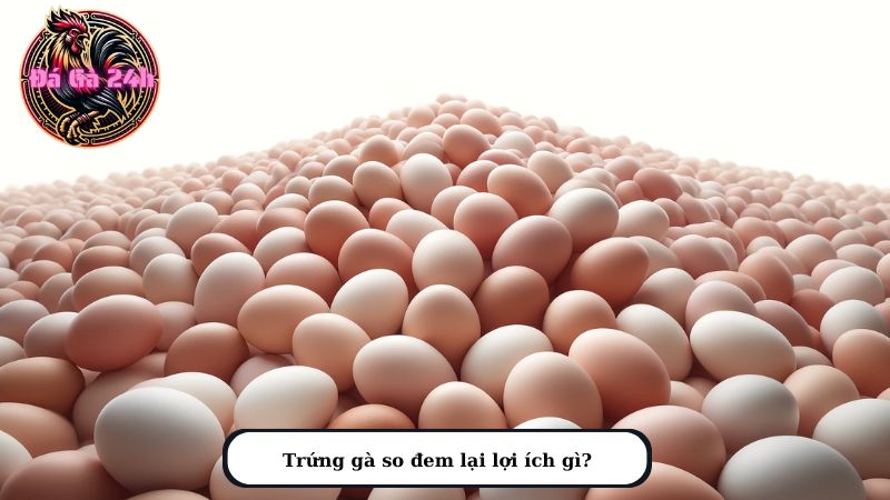 Trứng gà so đem lại lợi ích gì?